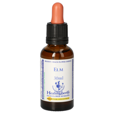 BACHBLÜTEN Elm Healing Herbs Tropfen