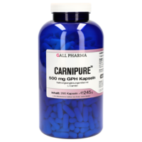 CARNIPURE 500 mg GPH Kapseln