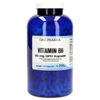 VITAMIN B6 25 mg GPH Kapseln